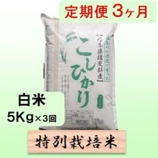 【毎月定期便】3ヶ月【令和6年産】特別栽培米5kg【白米】(コシヒカリ)全3回