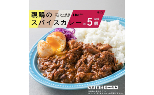 親鶏のスパイスカレー 5個セット（辛口）《厚真町》【テンアール株式会社】 カレー スパイスカレー 辛口 鶏 鶏肉 平飼い 冷凍配送 北海道 [AXAN009]