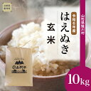 【ふるさと納税】鮭川村 はえぬき【玄米】 10kg （10kg×1袋）