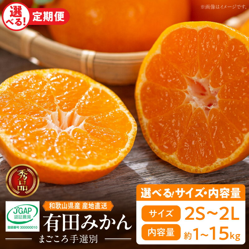 【まごころ手選別】和歌山県産 有田みかん 3kg 1箱 (2S〜Lサイズ混合)