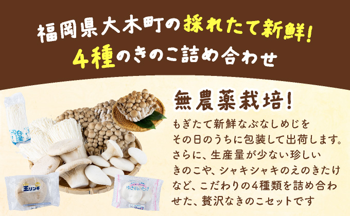 大木町のきのこセット(ぶなしめじ・ゆきれいたけ・王リンギ・えのきたけ各3パック)