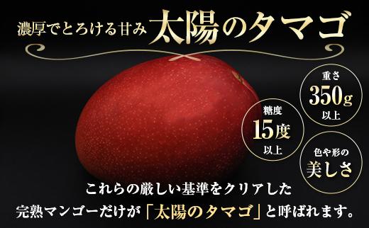 『太陽のタマゴ』 宮崎 完熟マンゴー 2L×2玉（1玉350～459g） 宮崎県産 トロピカル フルーツ 贈答 お取り寄せ 果物 旬