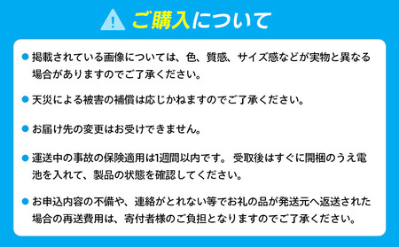 光る歯ブラシ　ベルデンテと替えブラシのセット AOR0001