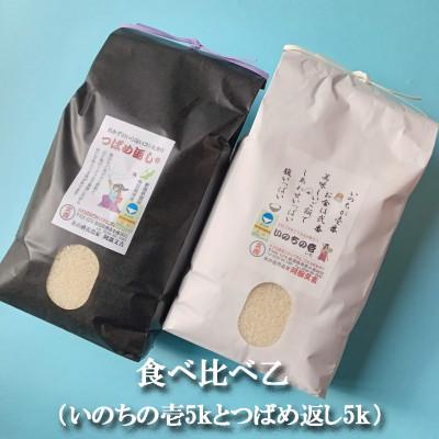 ふるさと納税 燕市 【令和7年産新米 先行予約】食べ比べ乙「いのちの壱・つばめ返し」各5kg