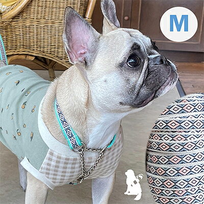 【ふるさと納税】【中型犬用・Mサイズ】ハーフチョークカラーとリードのセット（ひし形＆ミント） ペット 用品 グッズ ビーグル 柴犬 ボーダーコリー フレンチブルドッグ 強い力 気管支 痛めない 抜けない 訓練