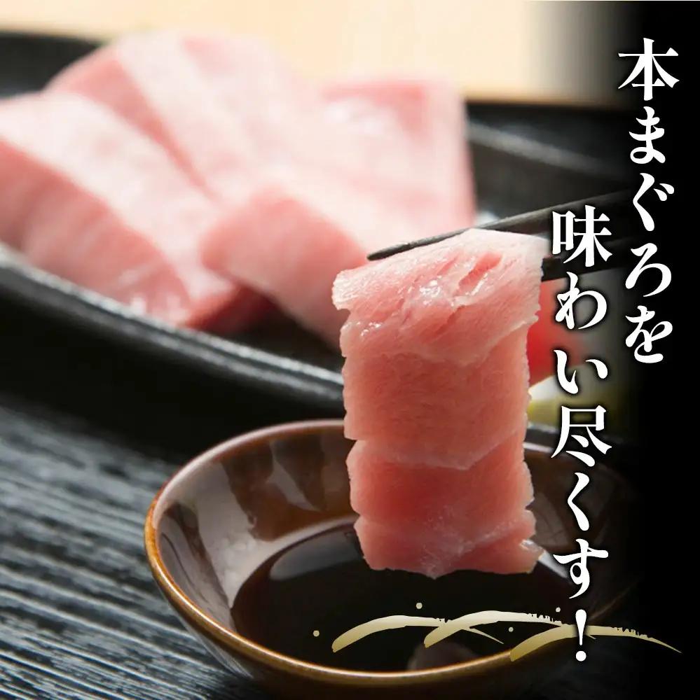 本マグロ 刺身用 中トロ 5人前 (800g) | 本マグロ 津久見市