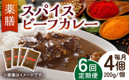 【6回定期便】薬膳スパイスビーフカレー 4食（200g×4） /自然庵[UCQ008] カレー スパイス スパイスカレー 冷凍カレー 小分けカレー 手作りカレー カレーセット レトルトカレー カレー定期便