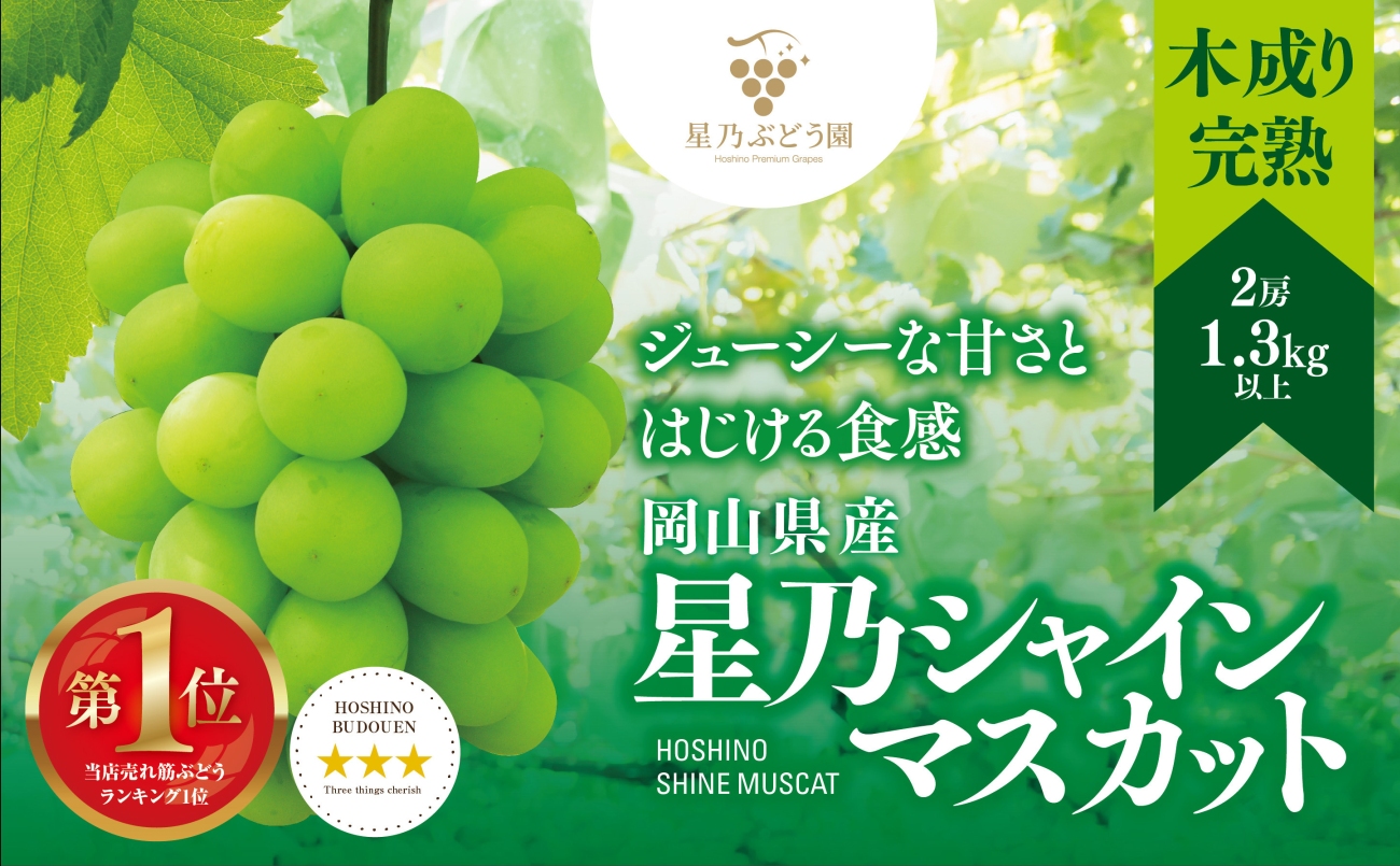 【先行受付】星乃シャインマスカット 数量限定 (岡山県産) 2房(1.3kg以上)【配送不可地域：離島・北海道・沖縄県】