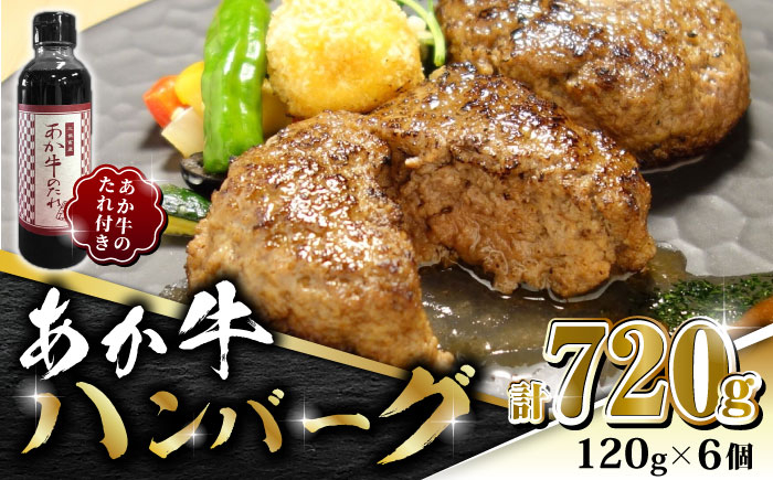 
                  あか牛 100％ハンバーグ セット 120g×6個【有限会社 三協畜産】 国産 赤身 赤牛 褐牛 あかうし 褐毛和種  冷凍 国産 牛肉  ハンバーグ  [ZEB003]
                