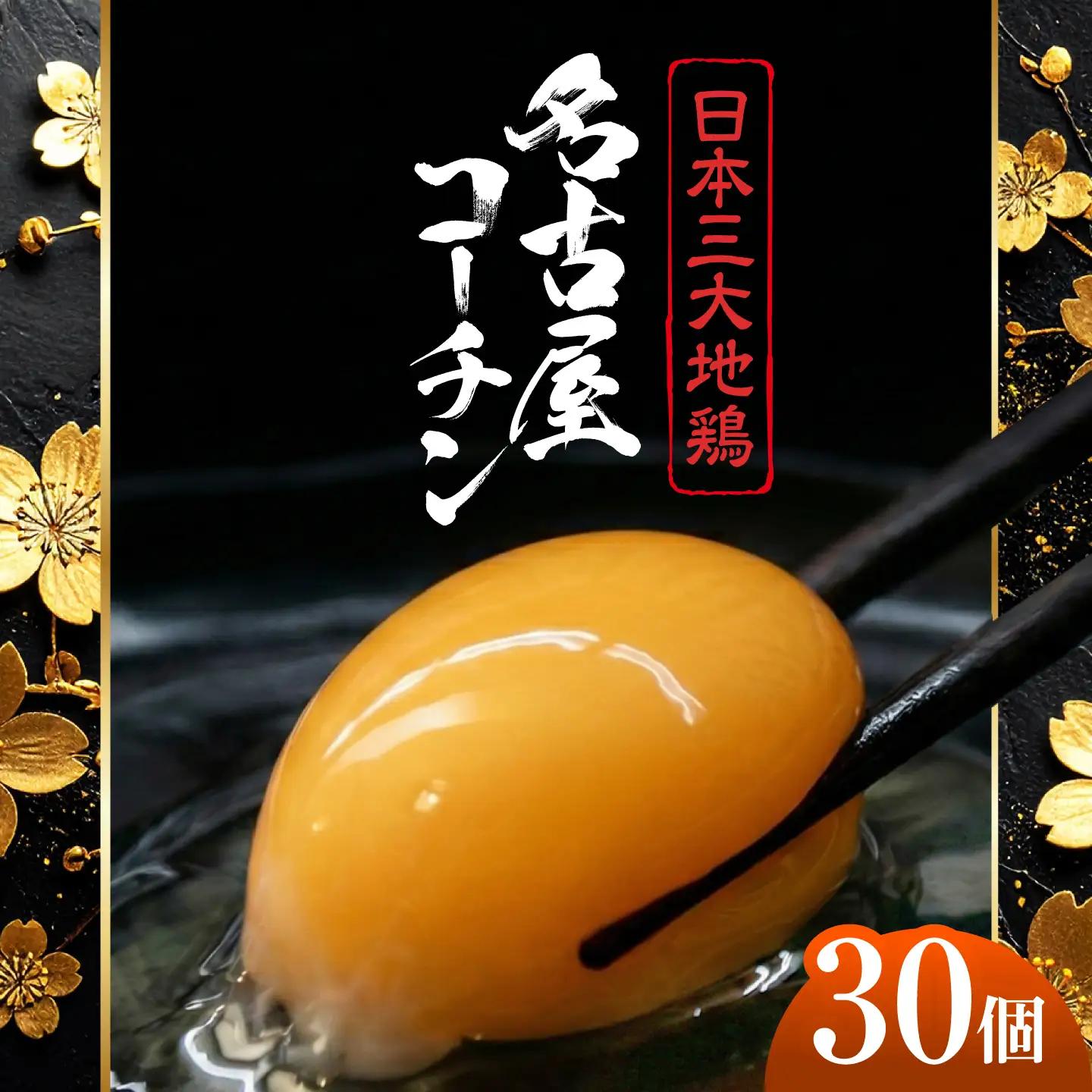 名古屋コーチン 卵 30個（27個＋割れ保証3個）/ 卵 たまご 鶏卵 高級卵 ブランド卵 / 稲沢市 / 櫛田養鶏場[BMAY007]