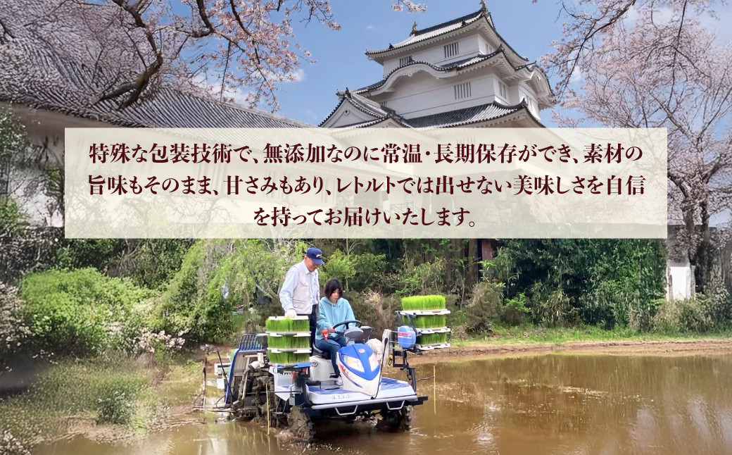 【KP04701】玄米ごはん２００g×２４　ふるさと納税 米 こめ コメ ごはん ご飯 コシヒカリ 玄米 200g 6パック セット 4箱 計24個 長期保存 常温 無添加 お弁当 キャンプ 備蓄 非