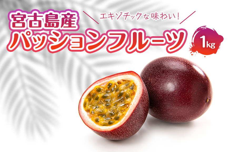 
            JJ008　エキゾチックな味わい！宮古島産パッションフルーツ（1kg）
          