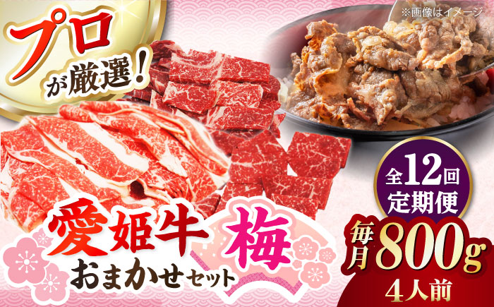 【全12回定期便】「愛姫牛」店主におまかせ旬セット【梅】800g（4人前）愛媛県大洲市/有限会社 木村屋精肉店 小間切れ 角切り 赤身 牛肉 冷凍 冷凍肉 お肉 [AGCC059]