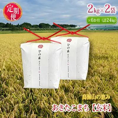【先行予約】《定期便 6か月》 あきたこまち 4kg  玄米 あきたこまち R8年産