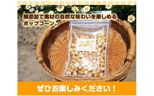 ポップコーンポンポン元ちゃんファーム《30日以内に出荷予定(土日祝除く)》トウモロコシ菓子ポップコーン---wsk_gncpcpp_30d_22_14000_300g---