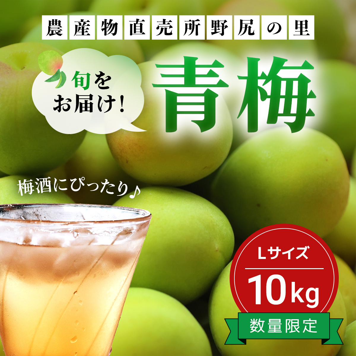 【2025年発送分先行予約】旬をお届け！青梅【Lサイズ10kg】 ANAR021