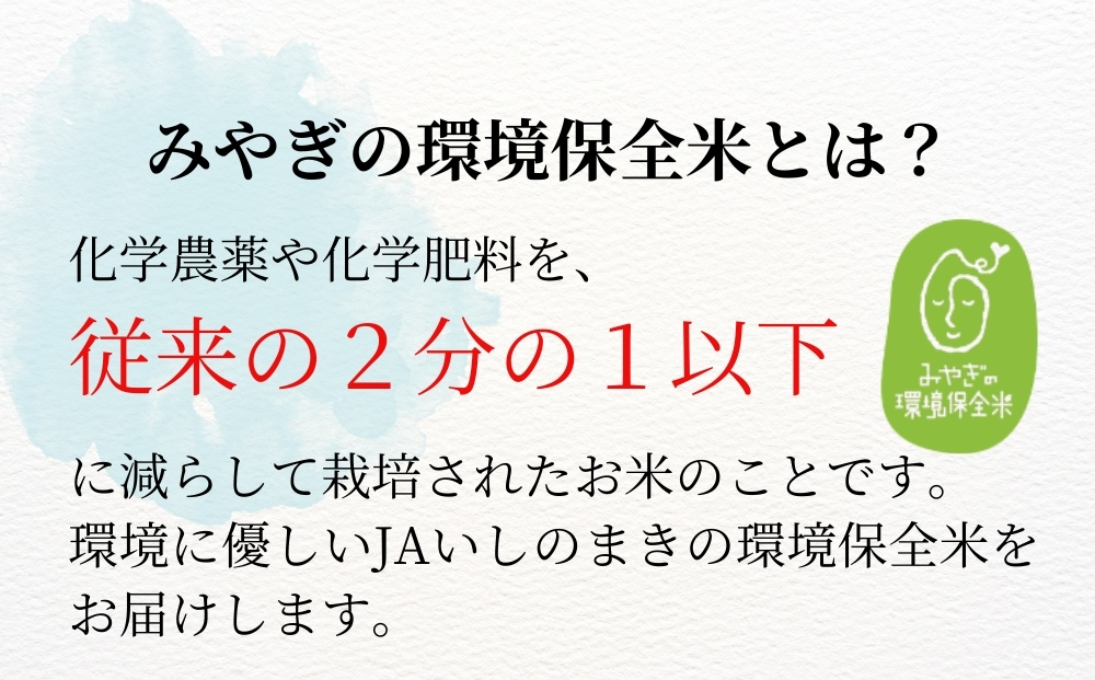 【令和7年産米受付開始！】 【新米】 宮城県産 ササニシキ