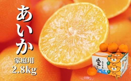 【先行予約】 【12月から順次発送】 家庭用 愛果28号 約2.8kg（ご家庭用）| 紅まどんな と同一品種 みかん ミカン 蜜柑 果物 くだもの フルーツ 高級 贈答 ギフト 贈り物 柑橘 柑橘類 かんきつ 愛媛果試第28号 常温 国産 愛媛 愛媛県 松山市