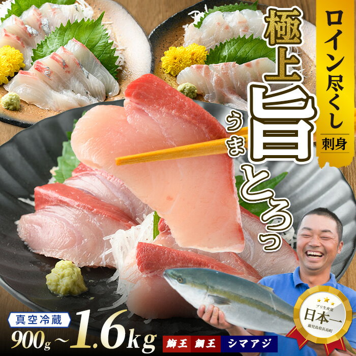 【ふるさと納税】【お刺身用】ロイン種詰め合わせ 選べる内容量 約900g〜1.6kg 切って盛るだけ ロイン 鰤王 鯛王 シマアジ テレビで紹介ぶりの王様「 鰤王 」 半身 切り身 真空パック 届いてすぐに食べれる 産地直送 長島町 冷蔵 ふるさと納税 鰤 鯛 縞鯵 【JFA】jfa-1497