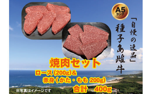 「 自慢 の逸品」 種子島 生まれ 雌牛 焼肉 用（400g）　NFN541 【600pt】 最高級 霜降り肉 焼肉用 西之表市生まれの黒毛和牛 霜降り イノシン酸 オレイン酸 豊富