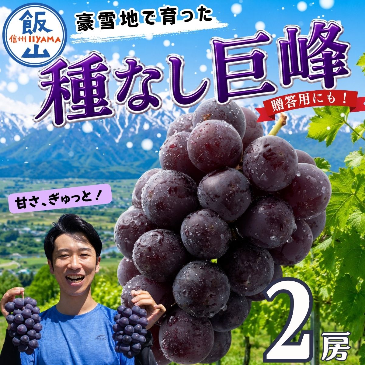 【ふるさと納税】贈答用にも! ＼ 種なし巨峰 ／ 2房（約1kg以上）《出荷開始：2026年9月上旬〜》｜長野県 飯山市 信州産 フルーツ ぶどう 葡萄 ブドウ 巨峰 きょほう 種なし デザート フルーツ 旬 甘い 食べやすい おすすめ オススメ 贈答 ギフト Bv-003