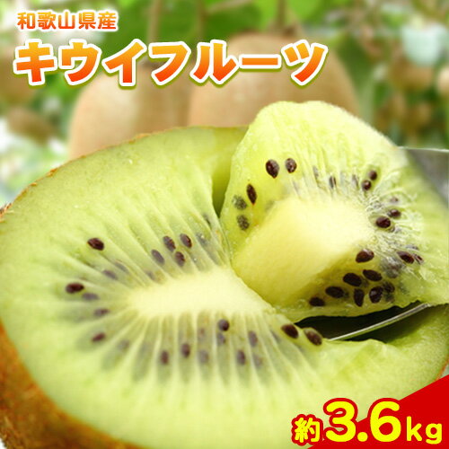 【ふるさと納税】秀品 和歌山の下津で採れた キウイフルーツ 約3.6kg（玉数おまかせ）《2026年1月中旬-3月上旬頃出荷》和歌山県 日高 キウイ キウイフルーツ 秀品