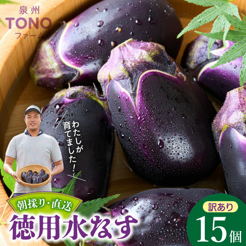 【ふるさと納税】訳あり 水なす 15個 泉州TONOファーム 朝採り直送 大阪エコ農産物認証 サラダ カプレーゼ 煮びたし 天ぷら 産地直送 旬 野菜 泉州水ナス 大阪府 泉佐野市 送料無料