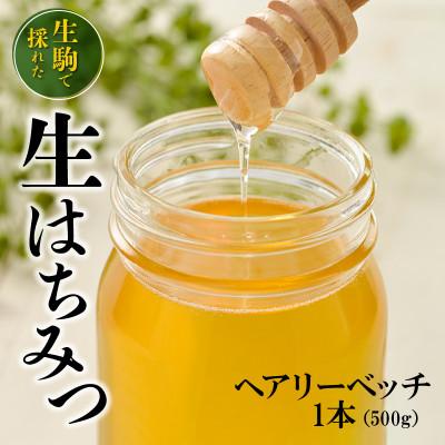 ふるさと納税 生駒市 生駒で採れた蜂蜜「ヘアリーベッチ」500g |  | 01