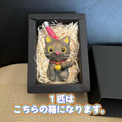 ふるさと納税 東秩父村 笠山猫(かさやまねこ)(1)シバ