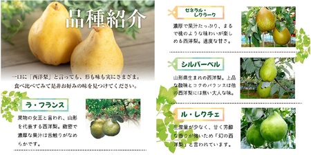 SA2720　六代多右エ門　西洋梨 おまかせ3品種　約3kg(8～9玉) 化粧箱入