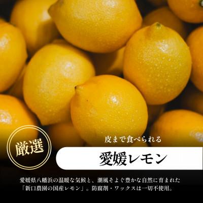 ふるさと納税 八幡浜市 【皮まで食べられる】五代目が厳選!レモン 5kg 防腐剤・ワックス不使用 愛媛県【D70-21】 |  | 01