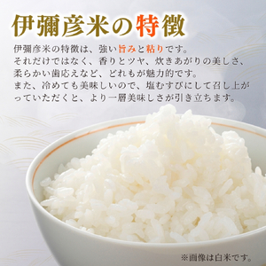 令和8年産新米先行予約 コシヒカリ 玄米 30kg 伊彌彦米 | コシヒカリ 新潟県 皇室献上