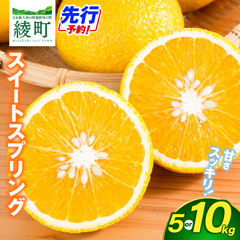 【ふるさと納税】先行予約 《選べる内容量》 希少柑橘「スイートスプリング」化粧箱 5kg 10kg 果物 フルーツ くだもの 柑橘 オレンジ みかんジュース おすすめ ギフト 贈り物 贈答 プレゼント おすそ分け おやつ スイーツ デザート 常温 産地直送 宮崎県 綾町 送料無料