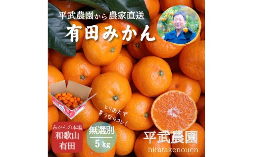 
                  農家直送！有田みかん（5kg 無選別≪秀品･訳あり品･サイズ混合≫）平武農園　～蛍飛ぶ町から旬の便り～
                