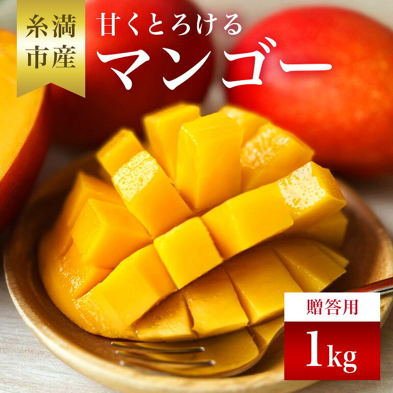 【ふるさと納税】【 先行予約 2027年 発送 】 かねよしマンゴーの甘くとろける マンゴー 1kg ( 贈答用 ) 沖縄県産 アップルマンゴー アーウィンマンゴー 1キロ 国産 果物 くだもの フルーツ 完熟 沖縄 お取り寄せ ギフト 贈答品 贈り物 産地直送 農家直送 糸満市 送料無料