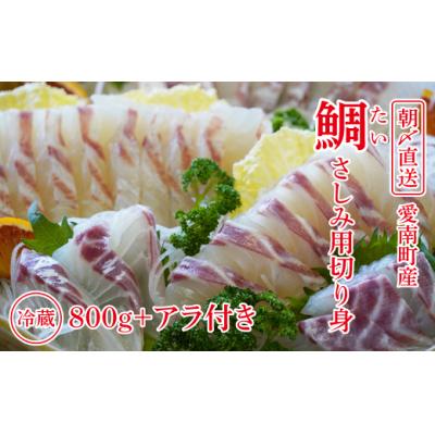 ふるさと納税 愛南町 朝〆直送!愛南町産 真鯛さしみ用切り身(800g+アラ付き)