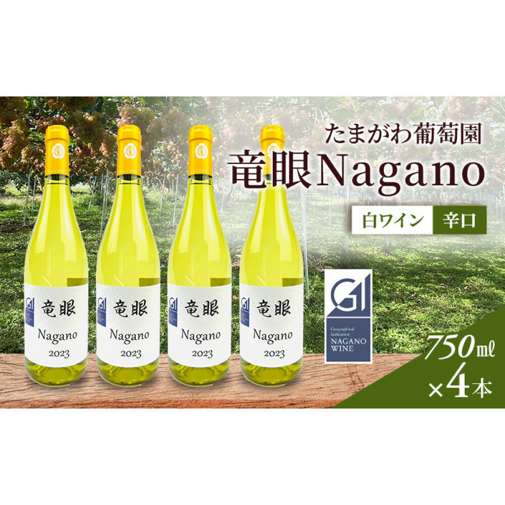【ふるさと納税】ワイン　竜眼Nagano　【GI長野】認定　750ml×4本 | 長野市 白ワイン