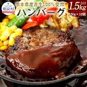 【ふるさと納税】熊本県産赤牛 ハンバーグ 150g×10個 合計1.5kg 1500g 10個セット 150g×10 赤牛 お肉 牛肉 ギフト 贈り物 国産 九州産 冷凍 送料無料