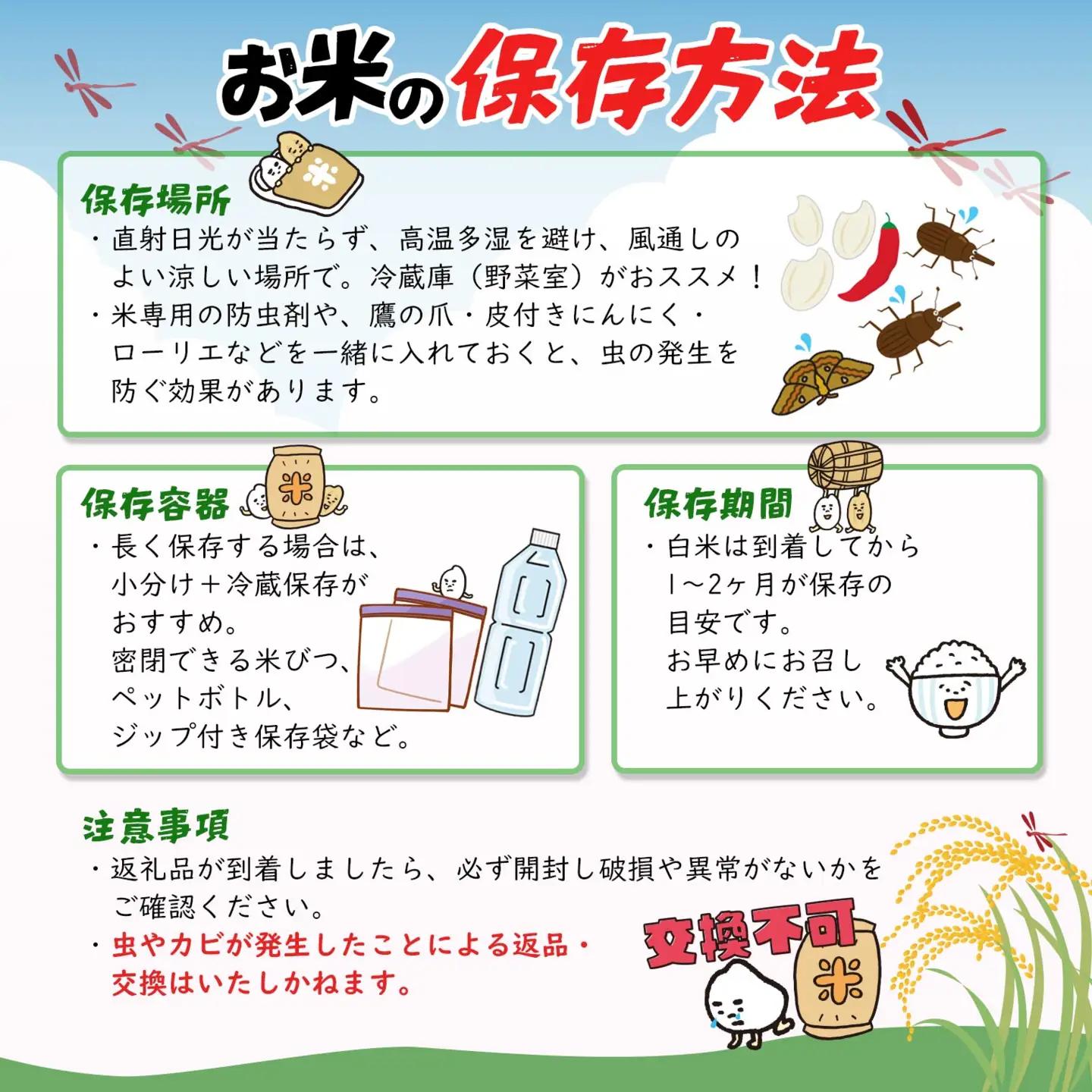 【3ヶ月連続定期便】 米 白米 コシヒカリ 計15kg(5kg×3回) 令和8年産 米 S256