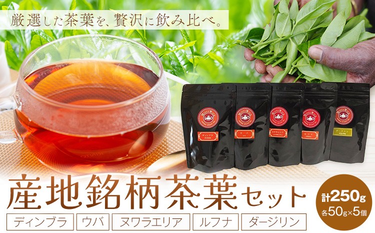 
                  産地銘柄茶葉セット ディンブラ ウバ ヌワラエリア ルフナ ダージリン 各50g セイロン紅茶専門店 MISTYWICK有限会社《30日以内に出荷予定(土日祝除く)》千葉県 我孫子市 紅茶 茶葉 厳選 ギフト 贈り物
                
