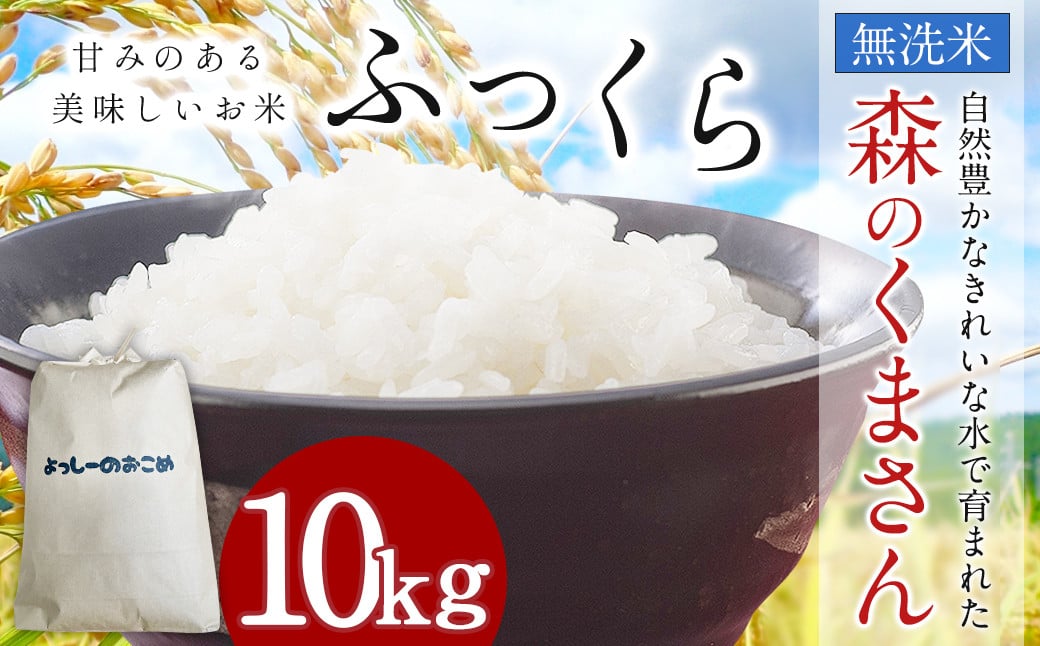 令和7年産 益城町 無洗米 森のくまさん 10kg お米
