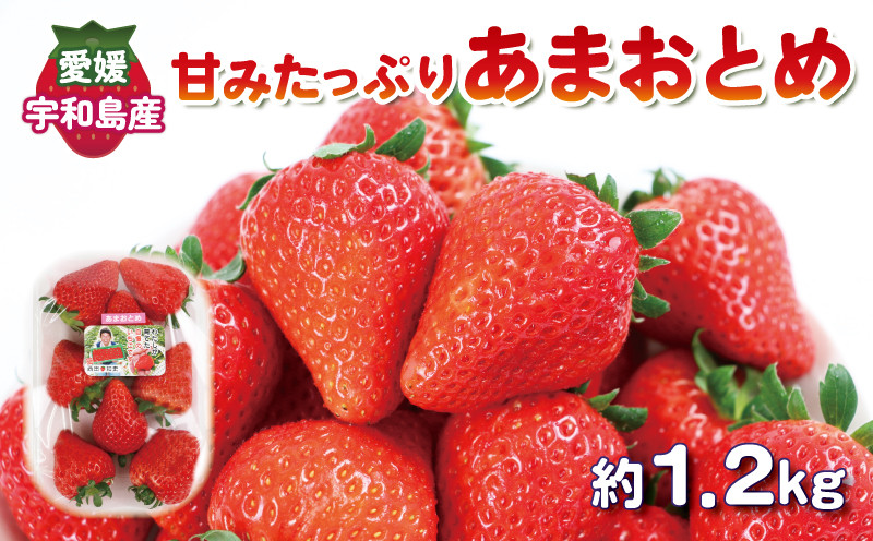 
いちご 甘み たっぷり あまおとめ 1.2kg ( 300g × 4パック ) 西田農園 甘い あまい 苺 イチゴ ストロベリー 旬 果物 フルーツ 朝食 ヨーグルト スムージー デザート スイーツ ジャム おやつ 数量限定 国産 愛媛 宇和島 F015-124001
