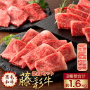 【ふるさと納税】フジチク 藤彩牛焼肉 セット 3種 合計約1.6kg 牛肉 和牛 黒毛和牛 ロース モモ バラ 焼き肉 バーベキュー 食べ比べ 菊陽町 冷凍 送料無料