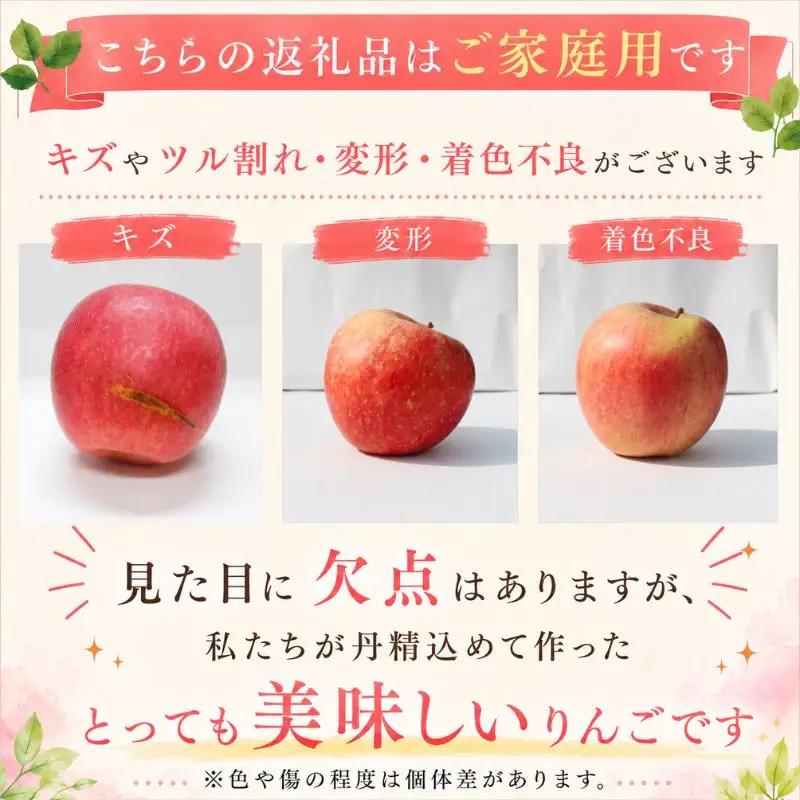 【12月上旬~発送】 りんご サンフジ 10kg 先行予約 訳あり 家庭用 ふじむら農園 fujimura006