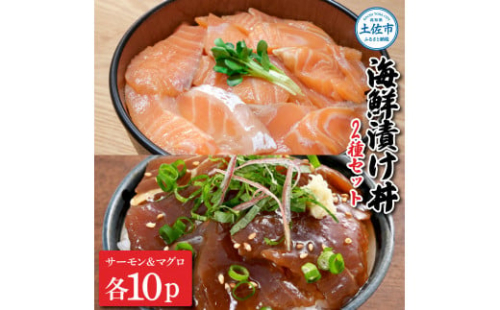 土佐の海鮮漬け丼（サーモン・まぐろ）各10袋セット 1パック60g 漬け丼 海鮮丼 マグロ丼 サーモン丼 鮪 まぐろ おかず おつまみ 惣菜 魚介類 海鮮 個包装 小分け 【企業組合　宇佐もん工房】 [BQAB043]
