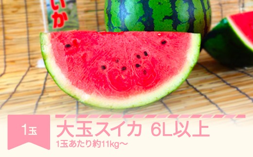 
                  【先行予約】 すいか 大玉 6L×1玉入り 令和8年産 山形県村山市産 mk-suoox11
                