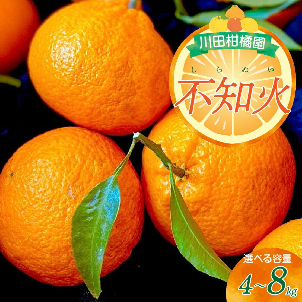 【ふるさと納税】川田柑橘園 広島県産 大長柑橘 「 不知火 ( しらぬい )」 4kg みかん 蜜柑 フルーツ 果物 柑橘 ビタミンC クエン酸 濃厚 甘味 爽やか 酸味 糖度 果汁 たっぷり ジューシー 2月 3月 冬 旬 お取り寄せ 送料無料 国産 国内産 広島県 呉市