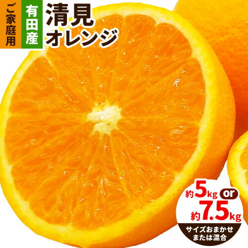 【ふるさと納税】【先行予約】【産直】有田産 清見オレンジ ご家庭用 訳あり 選べる内容量 約5kg 約7.5kg サイズおまかせ または 混合 日高町厳選館《2026年2月中旬-3月末頃出荷》和歌山県 日高町 柑橘 果物 フルーツ 清見 オレンジ 清見オレンジ 有田産