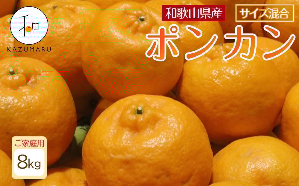 
            家庭用 森本農園の手選別 ポンカン 約8kg 和歌山県産 サイズ混合 ［北海道・沖縄・離島配送不可］［RN44］［2026年1月上旬から順次発送］
          