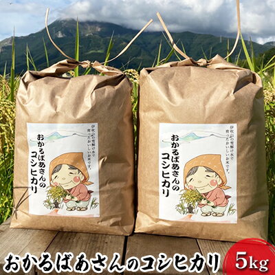 【ふるさと納税】【令和7年産新米予約受付】おかるばあさんのコシヒカリ 5kg 令和7年産 新米 精米したて 白米 精米 米 お米 こめ コメ こしひかり コシヒカリ 令和7年 産地直送 滋賀 滋賀県 米原市　お届け：2025年10月より順次発送